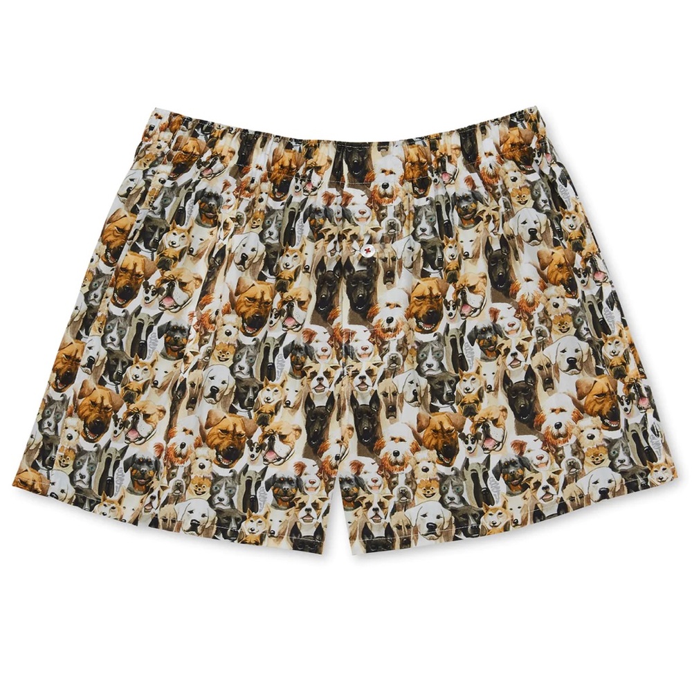 Druthers Organic Cotton Watercolor Dogs Boxer Shorts